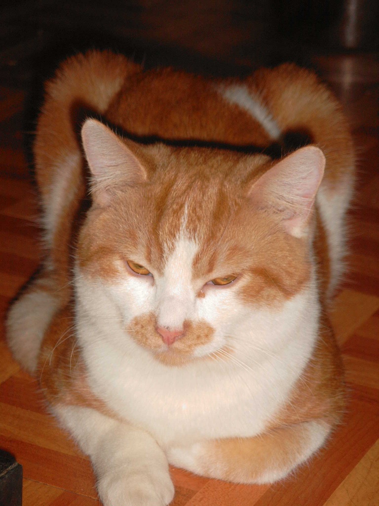 Sie sucht ihn 91284