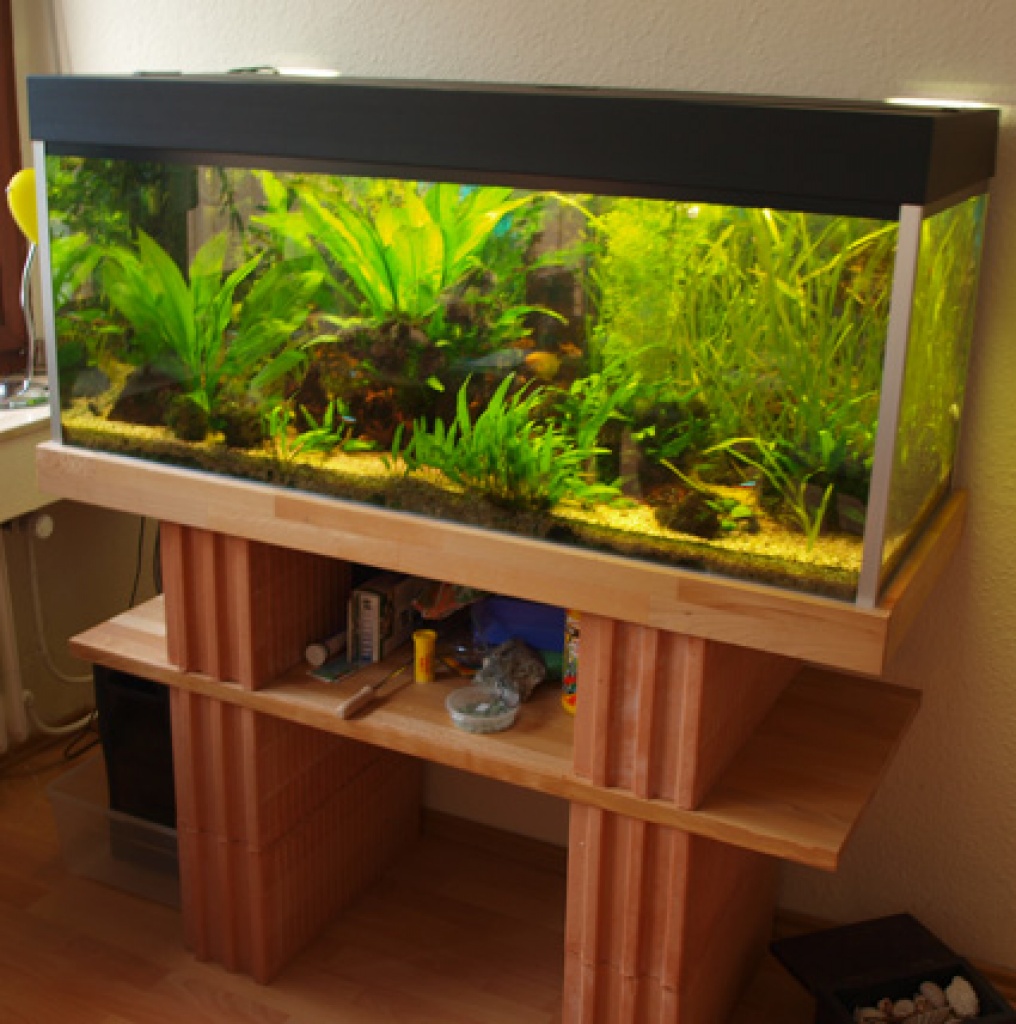 Komplett-Aquarium mit viel Zubehör, 300 Liter - Aquarien