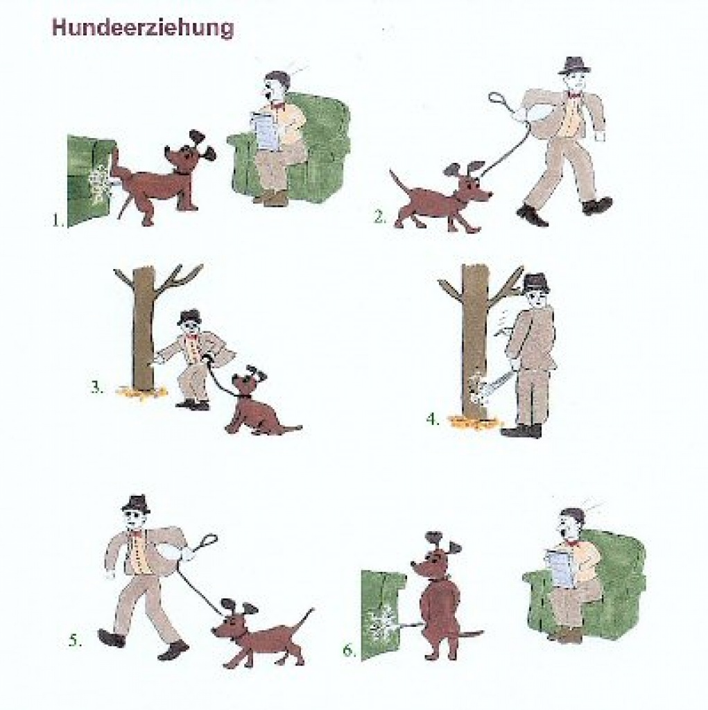 Tipps und Tricks zur Hunderziehung! KOSTENLOS! Hundeerziehung