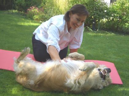 Hundesitting, Hundephysiotherapie, Verhaltensberatung