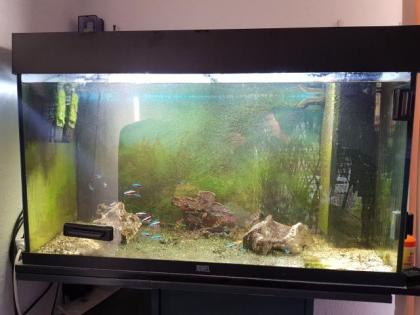 Aquarium zu verkaufen