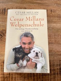 Cesar Millans Welpenschule/ Hundebuch/ Hundeerziehung