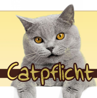 Catpflicht - Catzenbetreuung in München