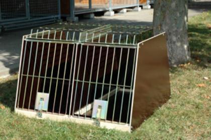 Verkaufe BROMET Doppelhundebox, Öffnung nach oben