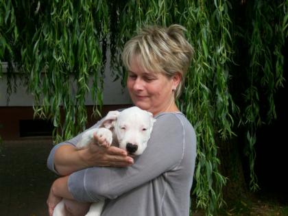 Wir haben noch 2 Dogo Argentino Hündinnen Welpen