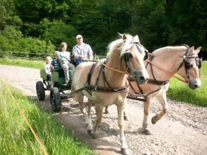 Ferien auf dem Pony, -und Reiterhof Mai