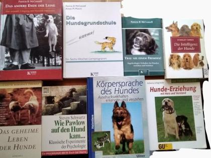 10 Bestseller Bücher Hundeerziehung Hunde verstehen Top Autoren