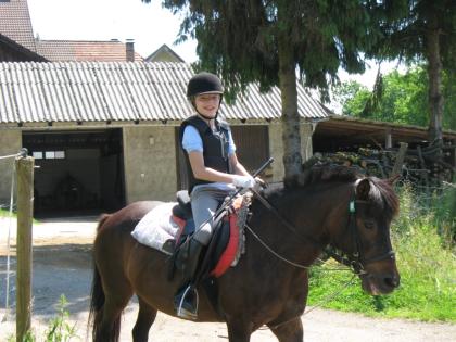 Suche eine Reitbeteiligung im Raum Königsbrunn / Augsburg