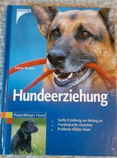 Hundeerziehung, Hunde Welpen