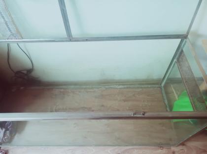 Terrarium groß V2A Rahmen