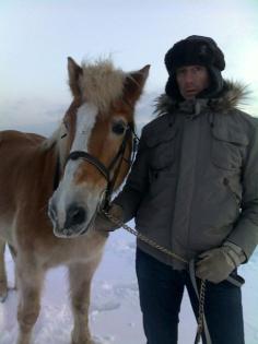 Biete Reitbeteiligung an freizeitgerittenem Haflinger Wallach in Düsseldorf-Kal