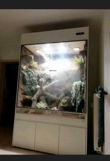 Paludarium von Hoppe mit Wasseragamen