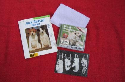 Jack Russell Terrier CD HUNDEERZIEHUNG WELPE