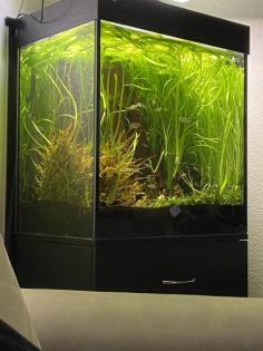 Aquarium ca. 200 l