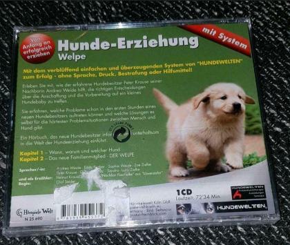 Jack Russell Terrier CD HUNDEERZIEHUNG WELPE