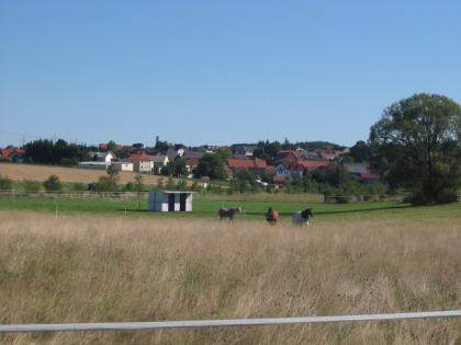 Offenstallplatz frei in Atzenhain 30 km bis Gießen