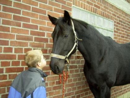 Reitbeteiligung gesucht