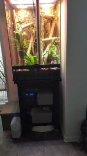 Exo Terra Terrarium 60x45x90 mit 2 Phelsuma Taggeckos komplett