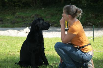 Individuelles Hundetraining - Andrea Rütten