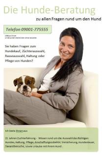 Ihre Hunde-Beratung-Hotline, Alles rund um den Hund, für Züchter Hundekäufer,