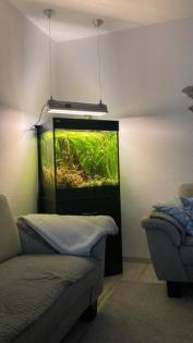 Aquarium ca. 200 l