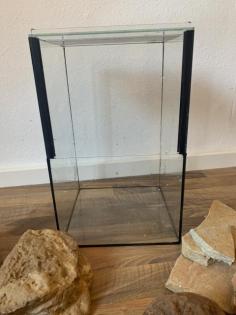 Terrarium mit 6 Leopardgeckos