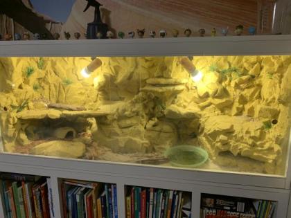 Selbst gebautes Terrarium mit zwei Leopardgeckos