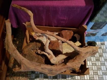 2 sehr schöne Aquarien viel Zubehör