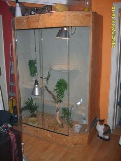 Selbst gebautes Terrarium