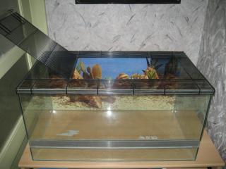 Terrarium 80x40x45