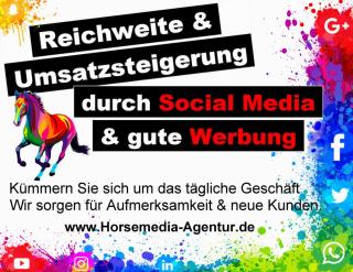 Social Media Werbe- management für Pferdebetriebe