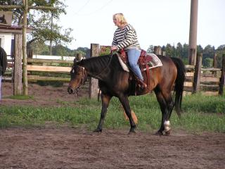 Reitunterricht im Freizeit-Westernreiten