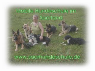 Hundeschule im Saarland