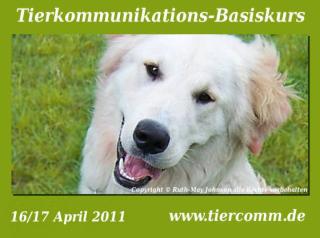 Tierkommunikation Kurs Schleswig- Holstein 16/17 April 2021