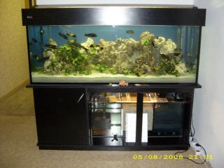 KOMPLETT - AQUARIUM - 160x60x60 cm - ca. 576 l