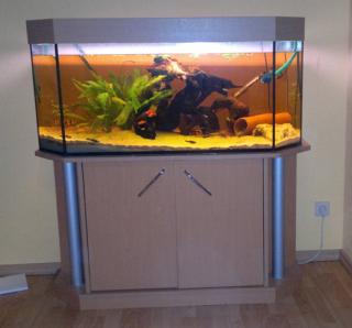 260 L Komplett-Panorama-Aquarium Bucheoptik