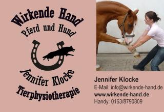 Tierphysiotherapie Wirkende Hand Pferd und Hund