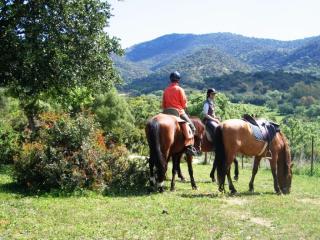 Reiten in Andalusien - Reiturlaub und Trails im Land der Weissen Dörfer