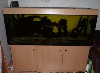 Komplettaquarium 570l