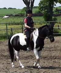 Reitabzeichen Lehrgang REITSPORTZENTRUM MERKENDORF