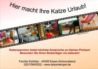 Katzenpension Nrw Essen - mit Webcam bietet höchste Ansprüche zu kleinen Preisen