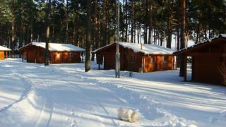 Achtung Hundebesitzer Silvester ganz ohne Knaller