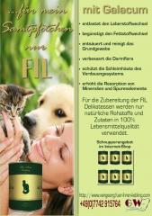 NEU Katzenfutter und Hundefutter mit Galacum. und Ihren Liebling geht s gut.