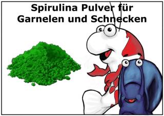 50g Premium Spirulina Pulver - Futter für alle Wirbellose