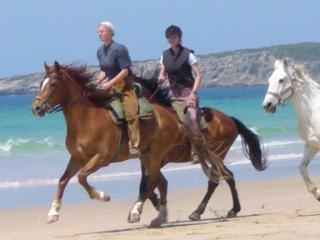 Strandritt gratis in Andalusien