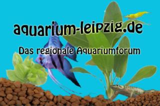 Regionales Aquarium Forum sucht Mitglieder