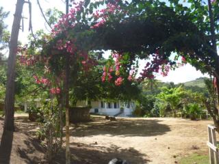 Pferderanch in Brasilien