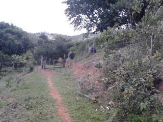 Brasilien Farm für Straussenzucht