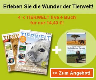 TIERWELT live Zeitschrift - Jahres-Abo Buch für 14, 40 Euro