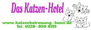 Katzenhotel Bonn wir haben noch Plätze frei Katzenpension Bonn